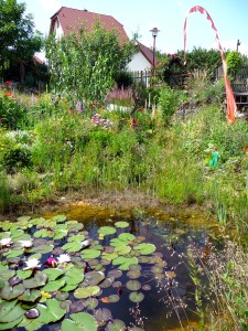 In einem Staudengarten darf ein Teich nicht fehlen.